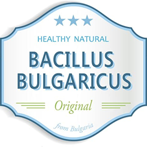 Bacillus Bulgaricus 
